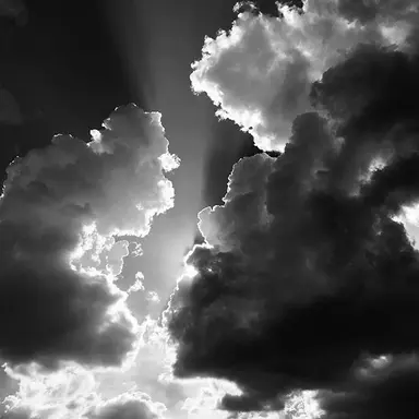 Profile image of 은월