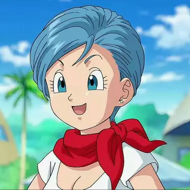 Profile image of ブルマ