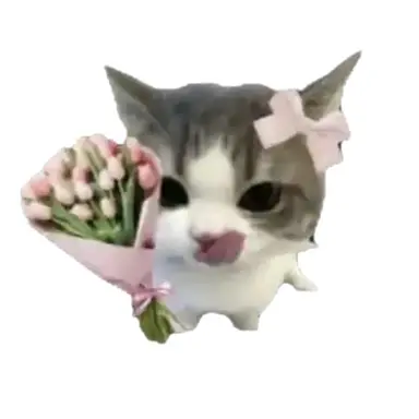 Profile image of 윥 정 핝