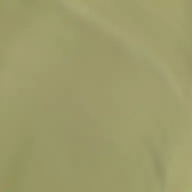 Profile image of 캐스팅 매니저