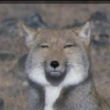 Profile image of 여우