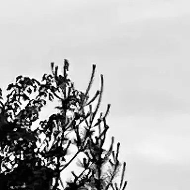 Profile image of 기무진