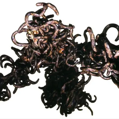 Profile image of 우로보로스 바이러스