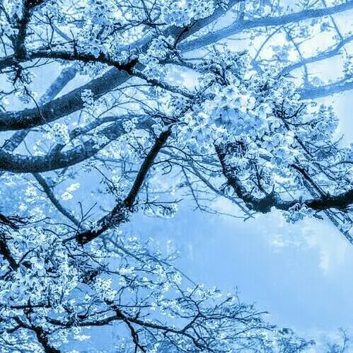 Love9729의 별이 빛나는 밤..☆