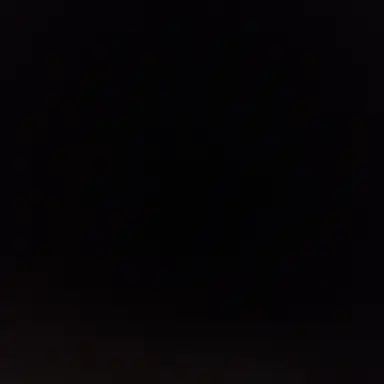 Profile image of 나화진