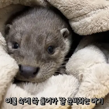 Profile image of 금휘
