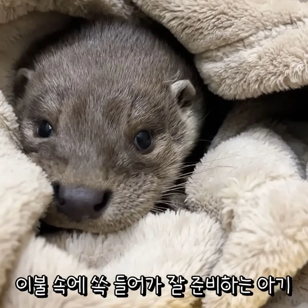 7732551562312191_happy의 금휘