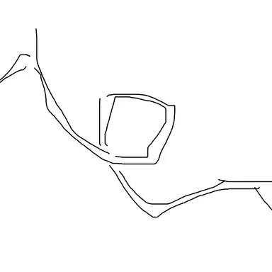 Profile image of l