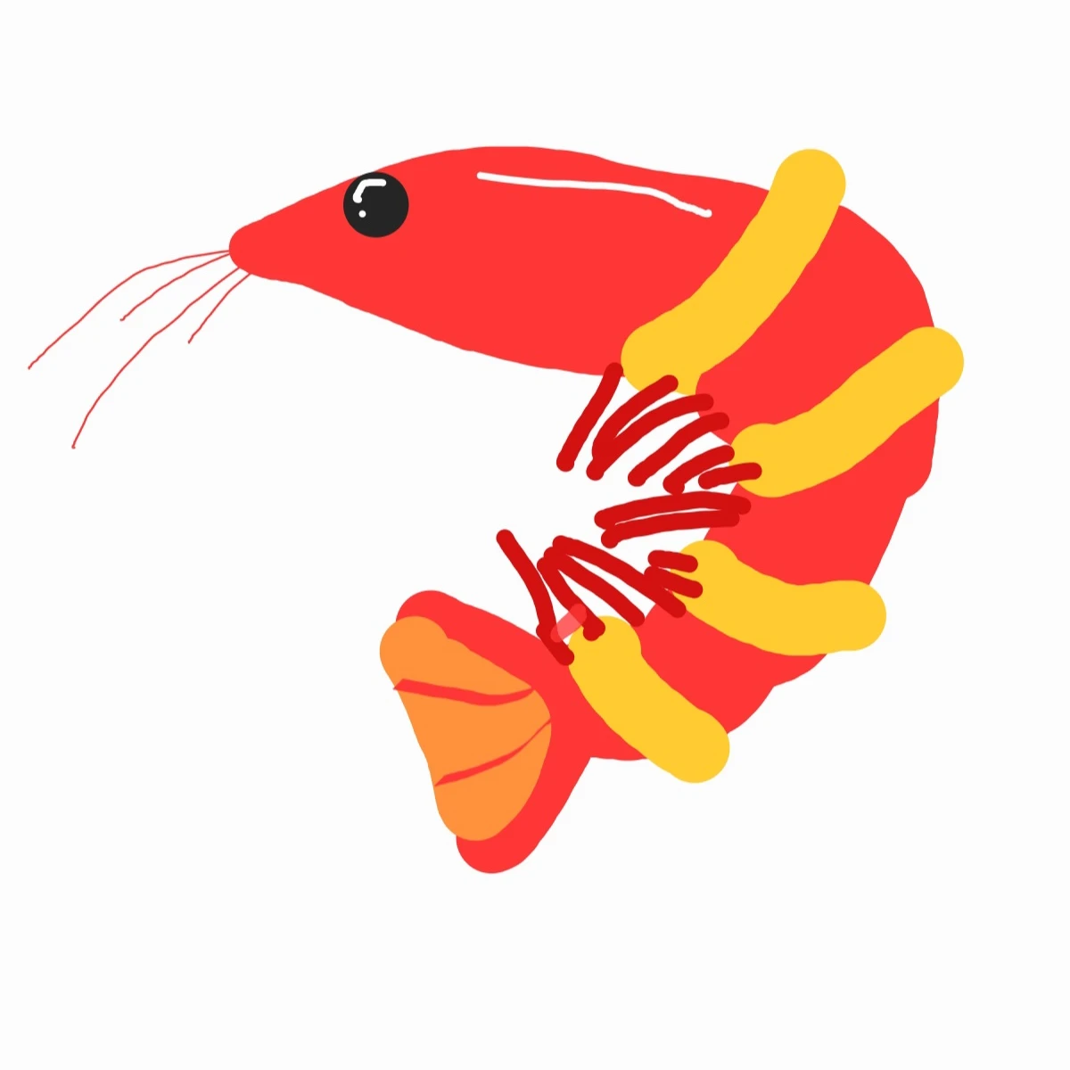 한번 삶은 새우