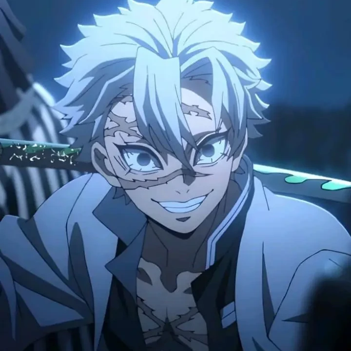 시나즈가와 사네미