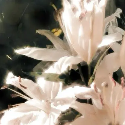 kimsangsuh10의 ㅎㅈㅇ