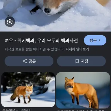 Profile image of 김여우