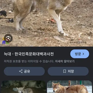 Profile image of 김늑대