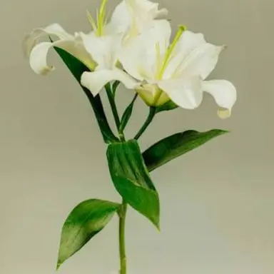 Profile image of 김민하