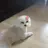 손수호