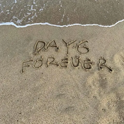 BossyElbow4393의 데이식스 환승연애