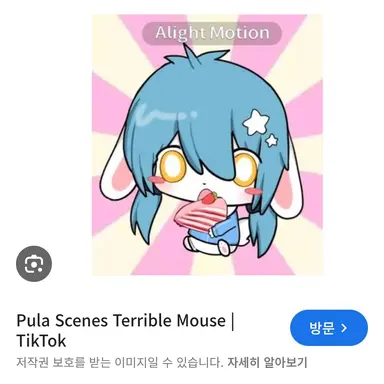 Profile image of 풀라
