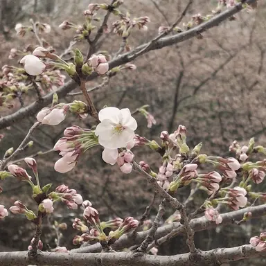 Profile image of 미츄 가족