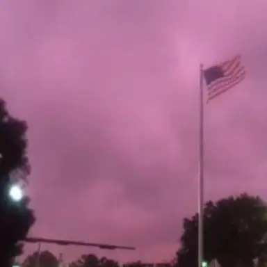 Profile image of 밥풀