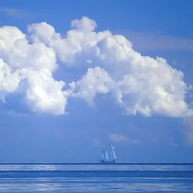 Profile image of 벨키