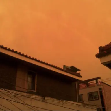 Profile image of 준브