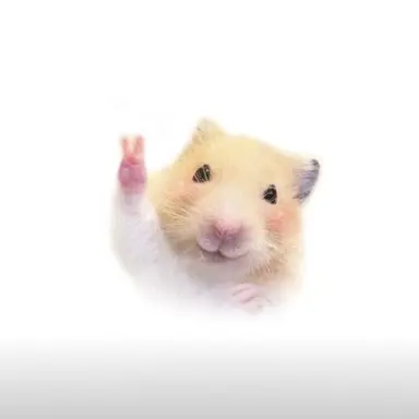 Profile image of 선생님