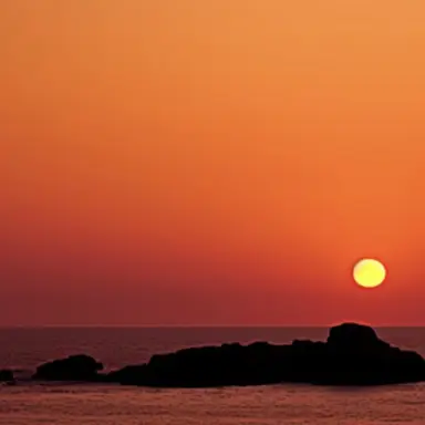 Profile image of 유기사