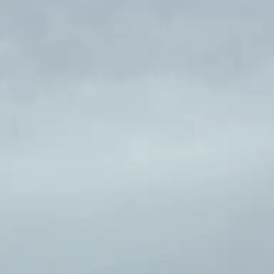 Profile image of 銀時