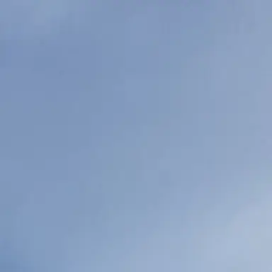 Profile image of 桂