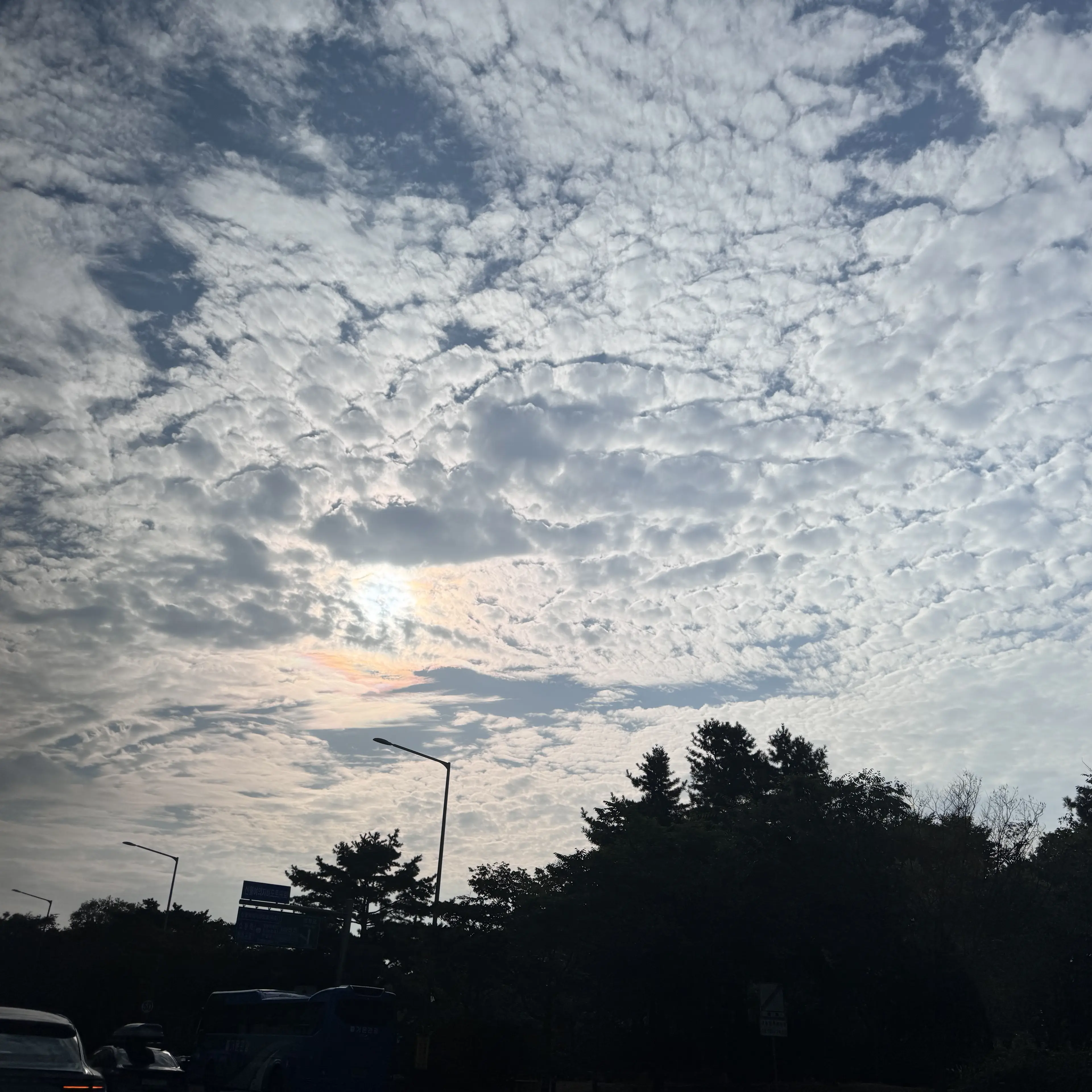 DeepNylon8290의 팀나빠