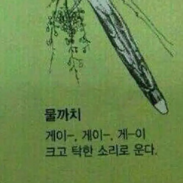 WeakSmog6823의 ㅏㅇㄱ도씨