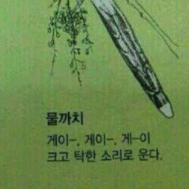악도싸마
