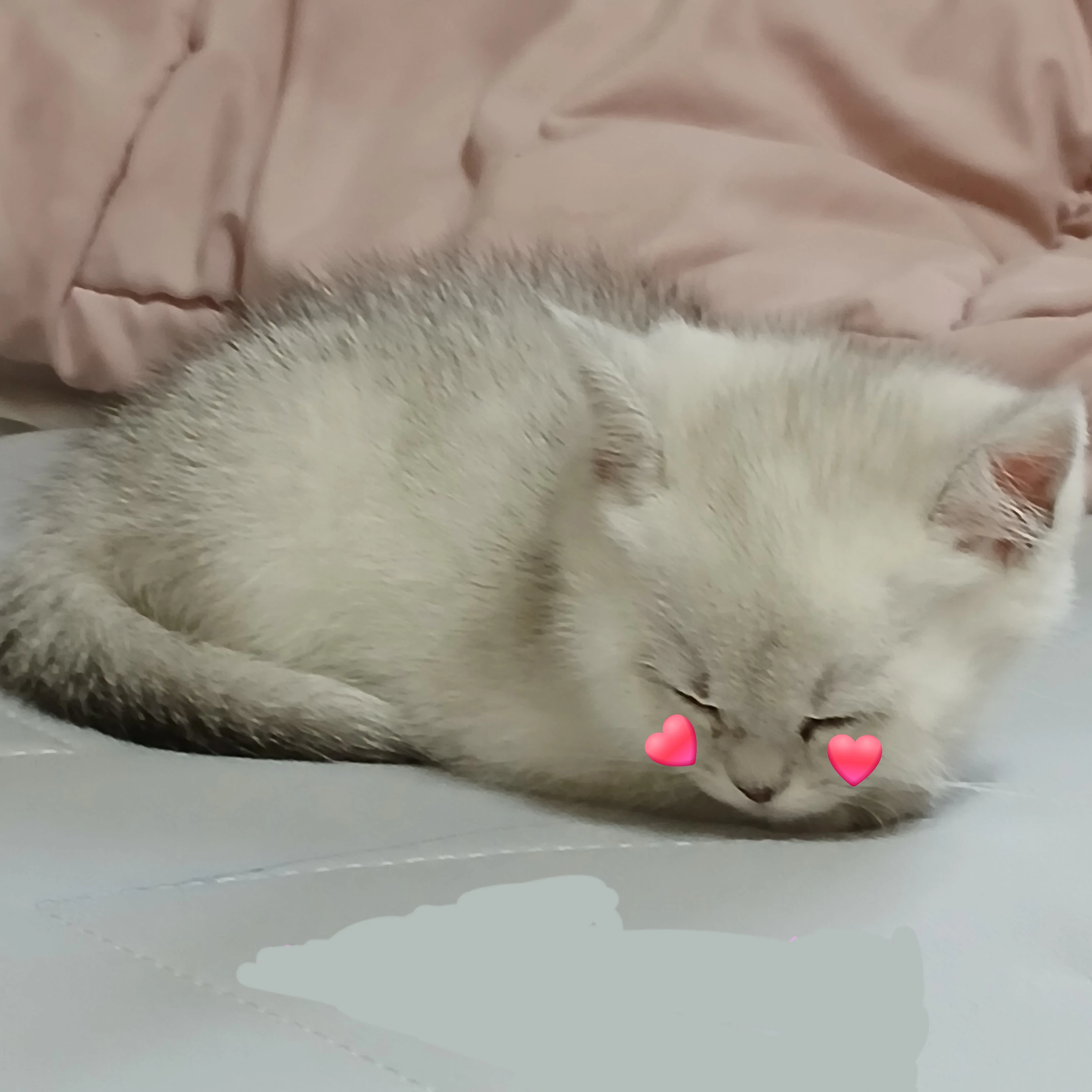 베루