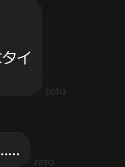 SafePouch859의 いつか