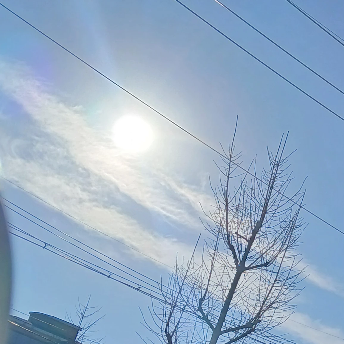각별
