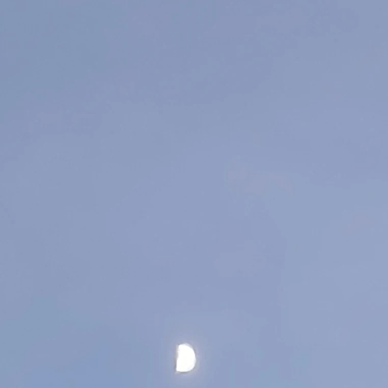 잠뜰