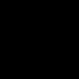 김태희