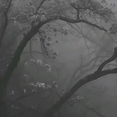 Profile image of 늦잠