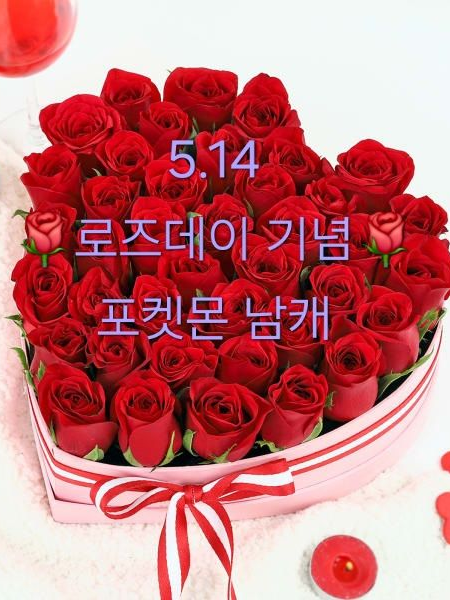 당신의 장미는 어느쪽? 대표 이미지