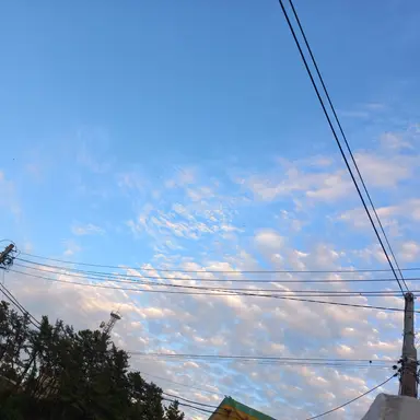 Profile image of 19 20