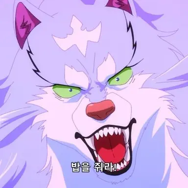 Profile image of 페르