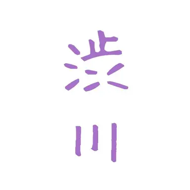 Profile image of 渋川 輝