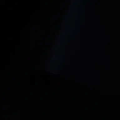 Profile image of ブリ子