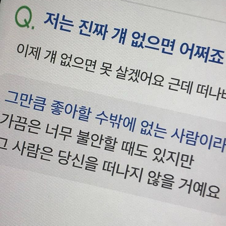 유명한 선배 대표 이미지