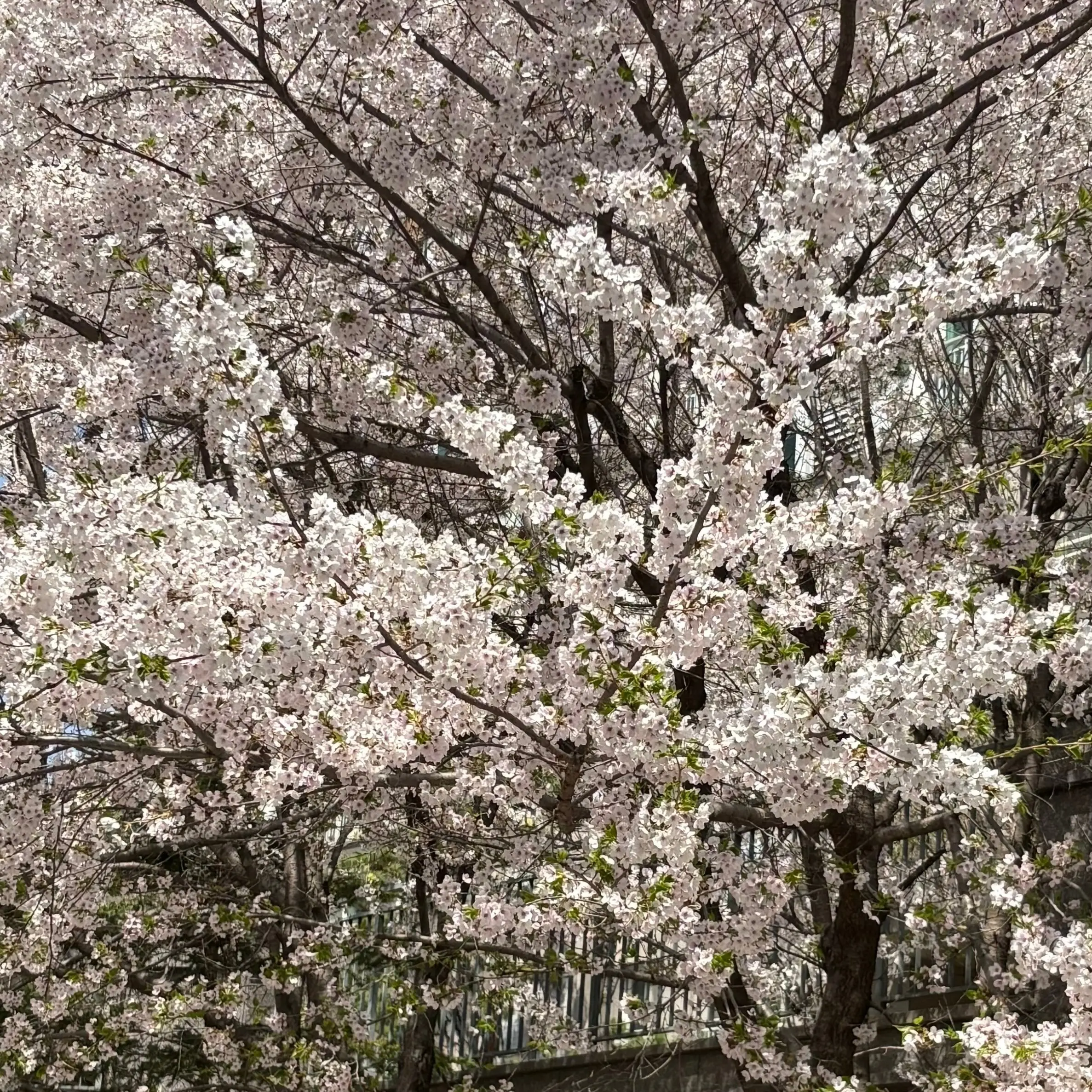 JustFog8535의 환승연애