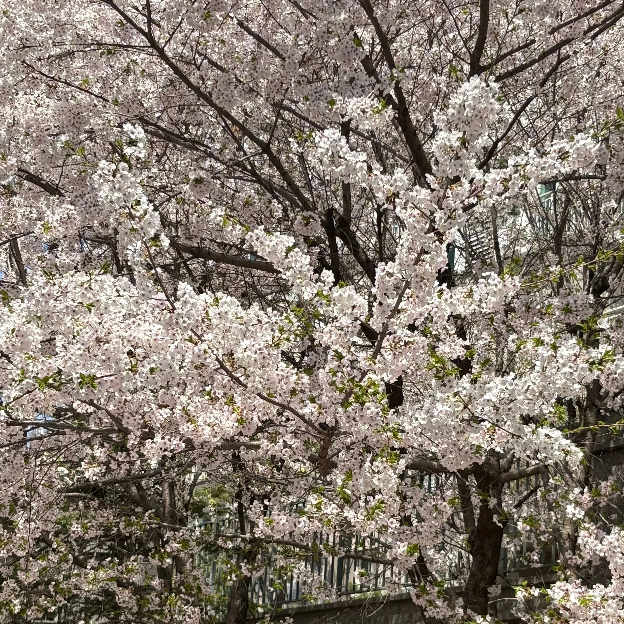 환승연애