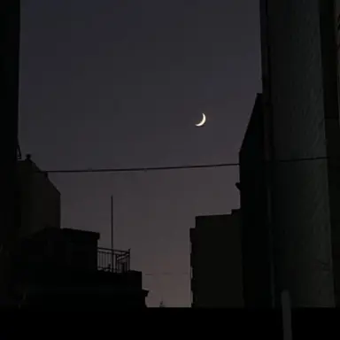 Profile image of 채스터