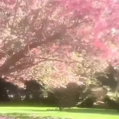 Profile image of 주르르