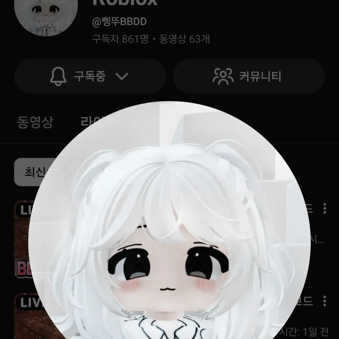 woojin203의 유튜버들 오해 1편
