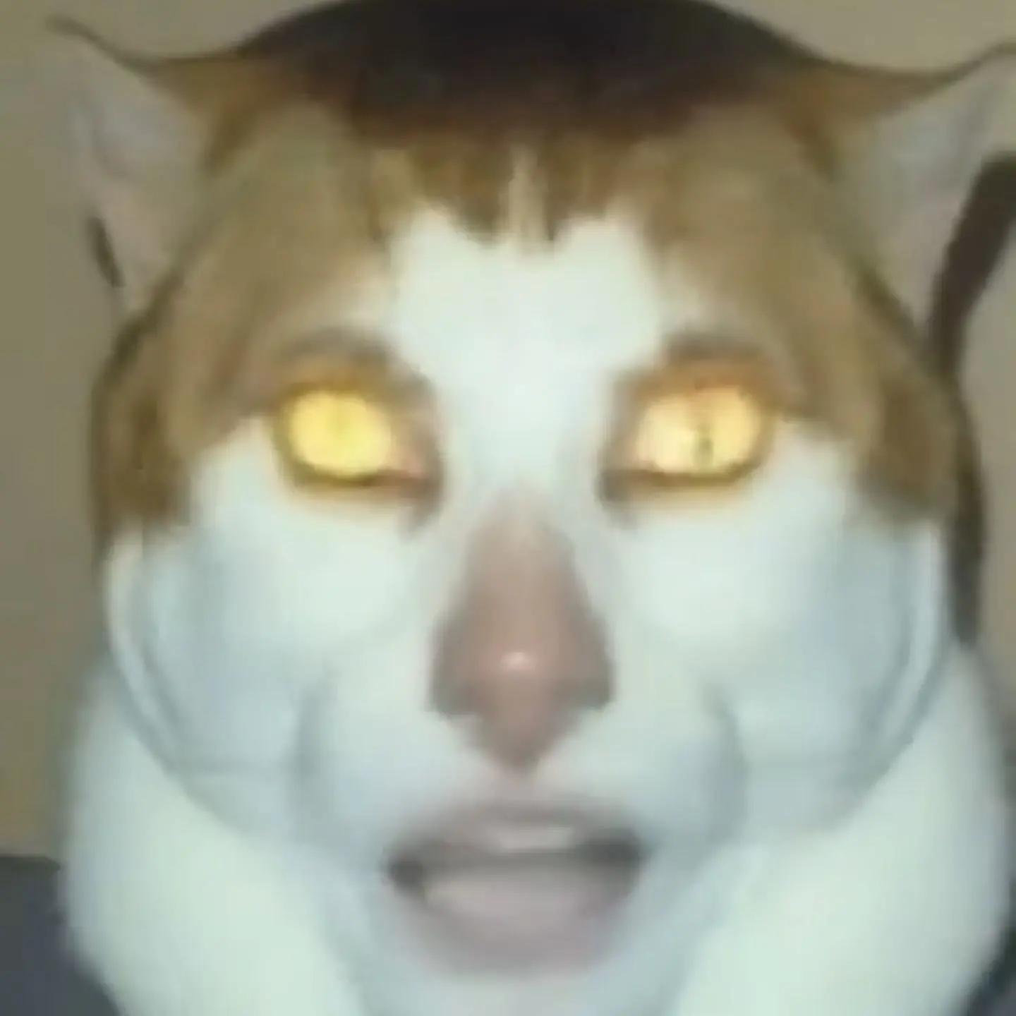 LooseEgg1024의 The Backrooms